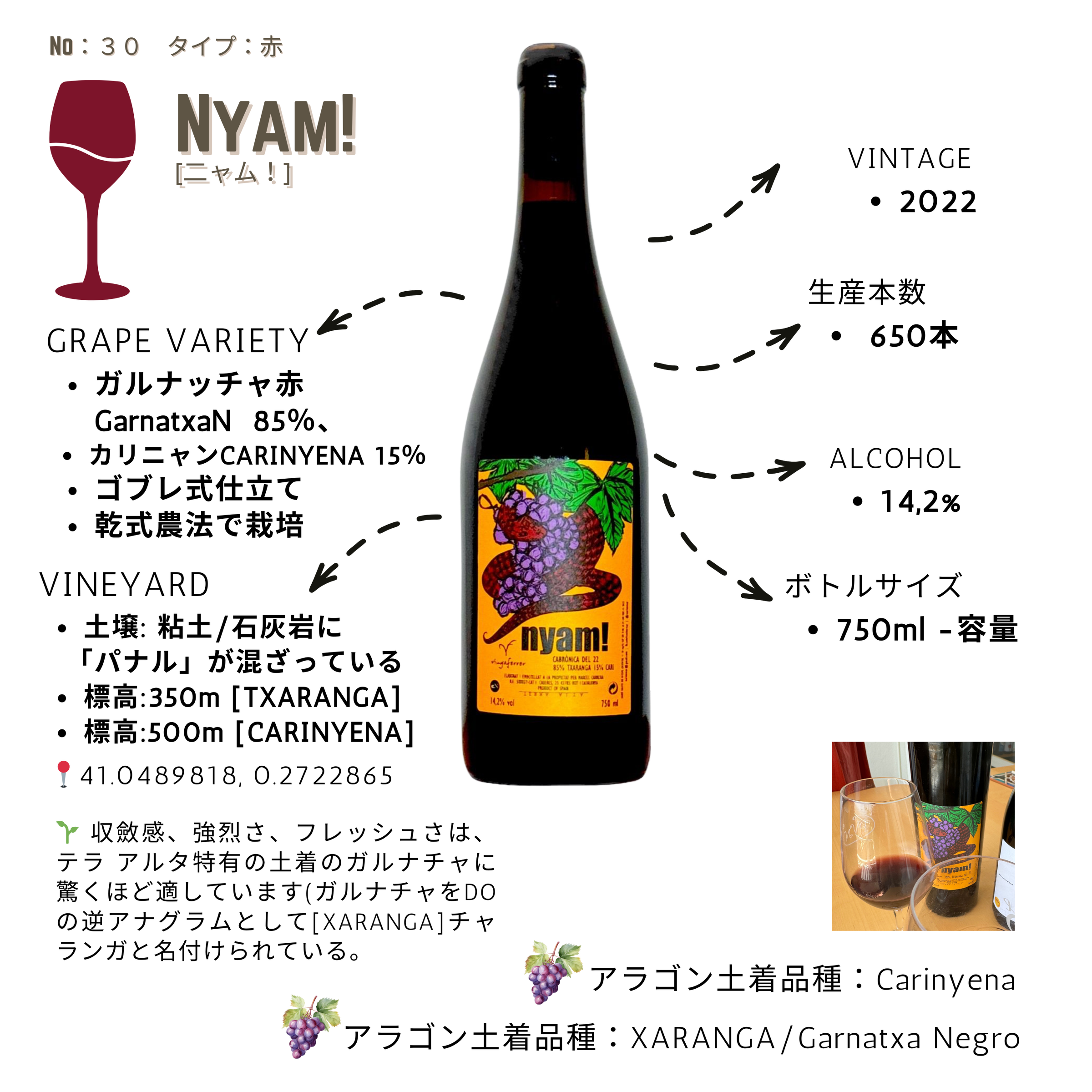 Nyam!22 赤ワイン ブレンド | Vino365