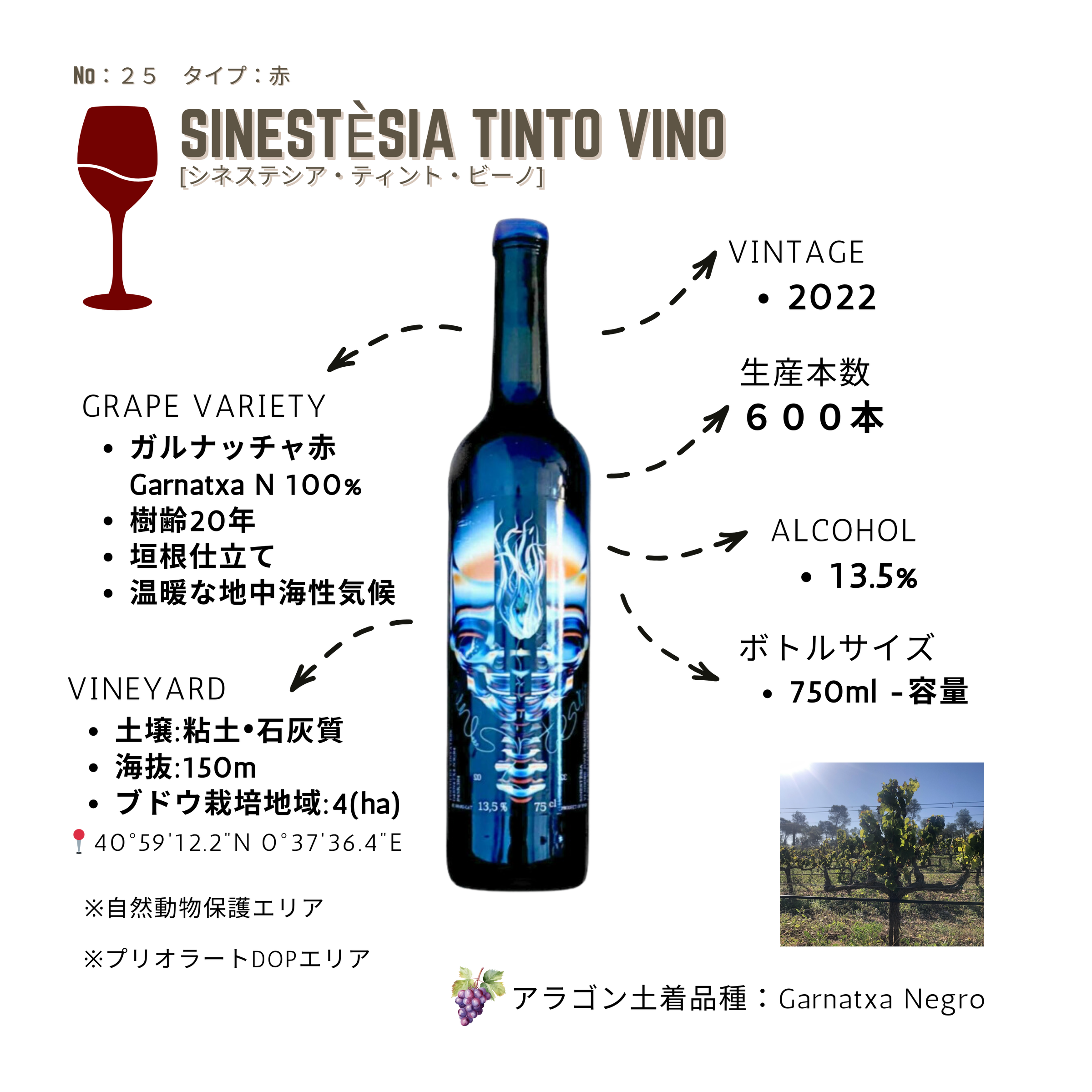 赤ナチュラルワイン / ガルナチャ / スペインカタルーニャ州 | Vino365